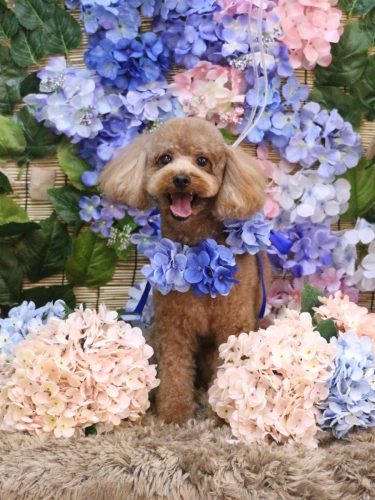 20250624レオくん